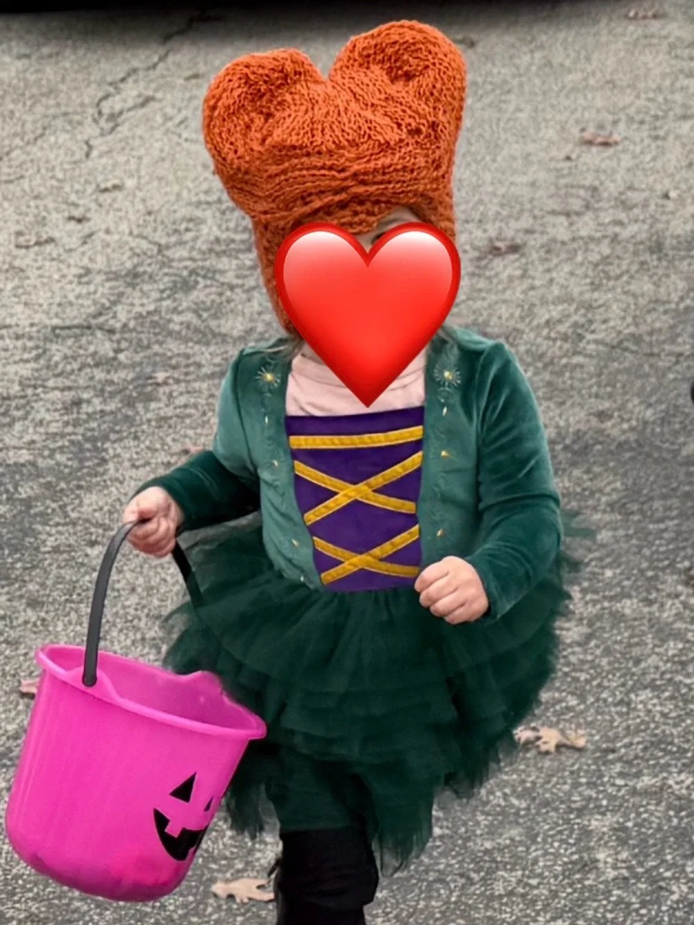 Hocus Pocus Winifred Sanderson Yarn Hair/Wig, fits 2 year old